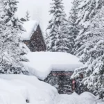 INSTA-Meteo-Neige-Fevrier-Station-Tempete-Foret-Chalet-Hiver-500x500