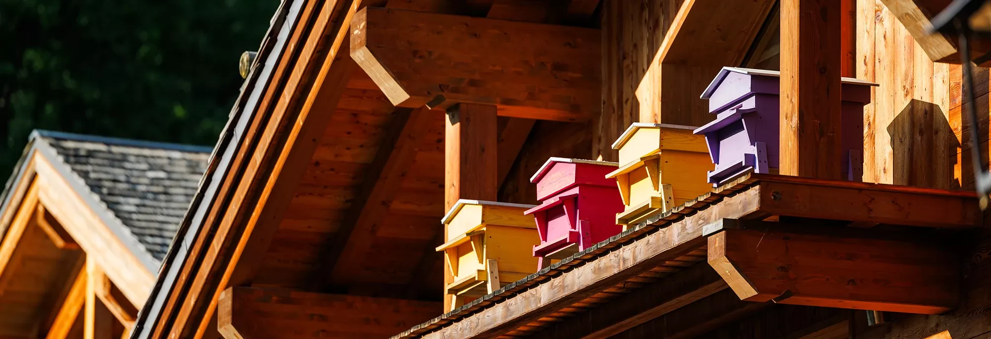 header-Blog-Rando-Patrimoine-Gittaz-Ruche-Chalet-Meribel-2000x685