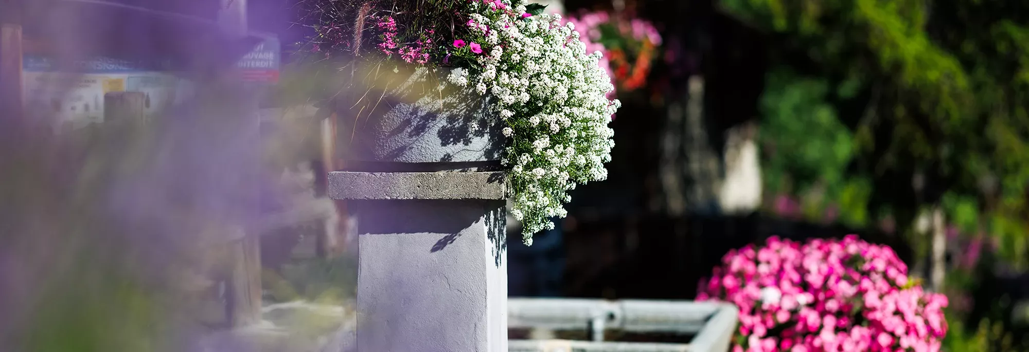 header-Blog-rando-accessible-village-fleurs-balade-ete-2000x685