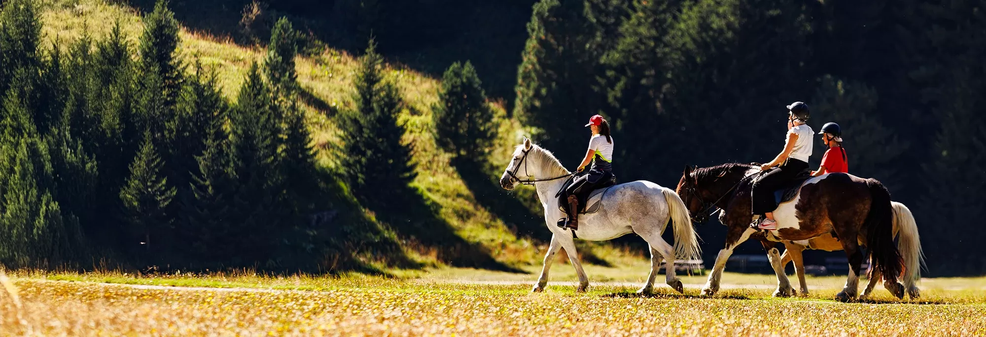 header-Pass-Activite-Explorateur-Equestre-2000x685