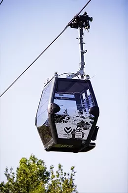 Ete-Pass-Explorateur-Activite-Remontees-Mecanique-Pietons-Cabine-260x390