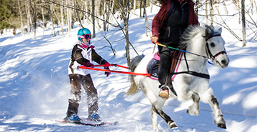 Photo d'une activité ski joering