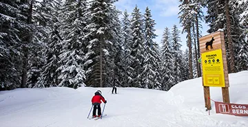 Ludique-Animaux-Ski-Famille-360-185