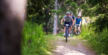 VTT en été