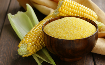 2024_HIVER_BLOG_POLENTA