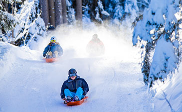 Dévalez les pistes de Méribel en luge pour des moments de folies avec vos proches.